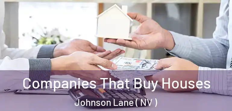 Companies That Buy Houses Johnson Lane ( NV )