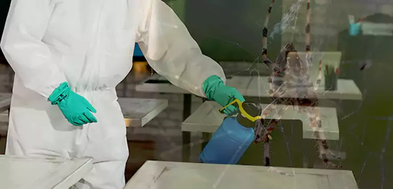 Why Buyers Still Want Homes With Pest Infestations in Nevada, NV?