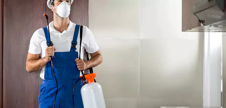 Why Nevada Homeowners Choose Us When Pests Make Selling Difficult