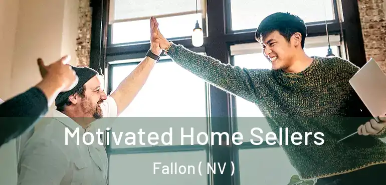 Motivated Home Sellers Fallon ( NV )