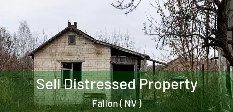 Sell Distressed Property Fallon ( NV )