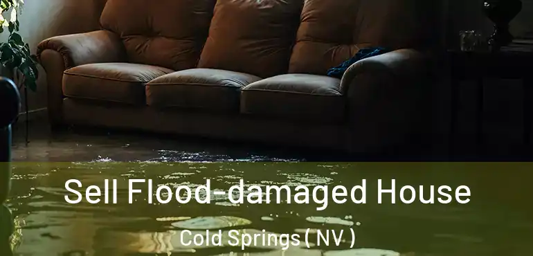 Sell Flood-damaged House Cold Springs ( NV )