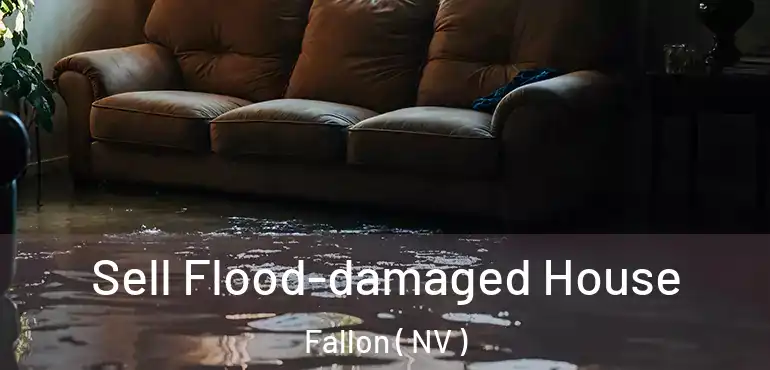 Sell Flood-damaged House Fallon ( NV )