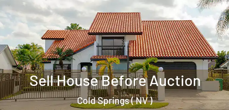 Sell House Before Auction Cold Springs ( NV )