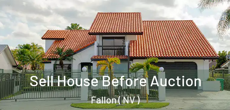 Sell House Before Auction Fallon ( NV )