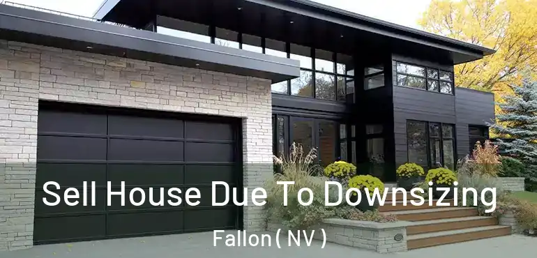 Sell House Due To Downsizing Fallon ( NV )