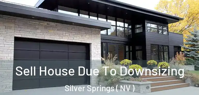 Sell House Due To Downsizing Silver Springs ( NV )