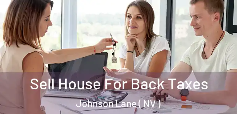 Sell House For Back Taxes Johnson Lane ( NV )