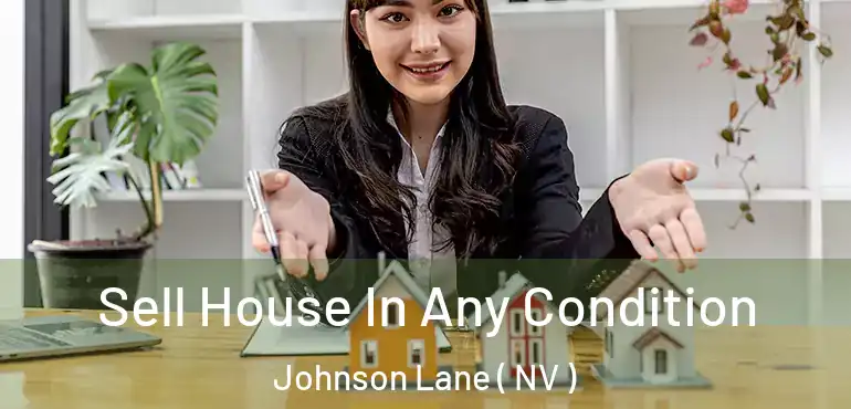 Sell House In Any Condition Johnson Lane ( NV )