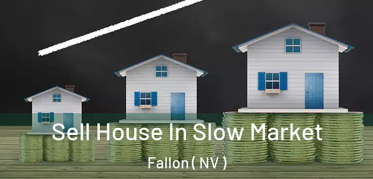 Sell House In Slow Market Fallon ( NV )