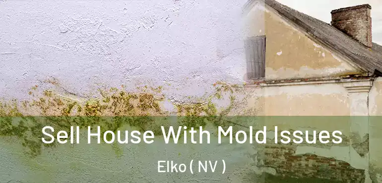 Sell House With Mold Issues Elko ( NV )