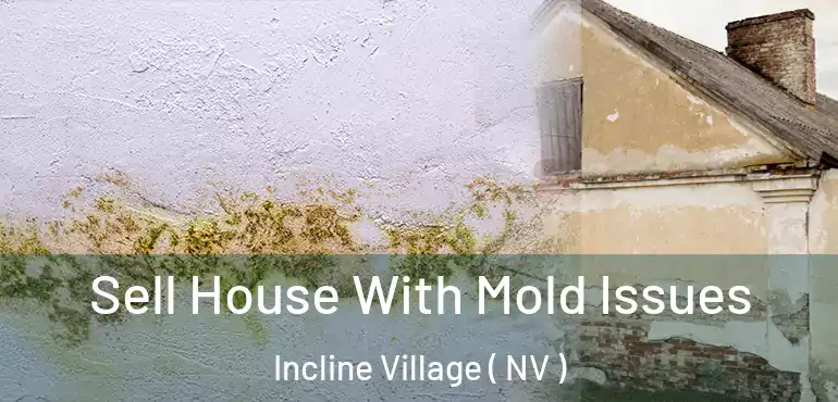 Sell House With Mold Issues Incline Village ( NV )
