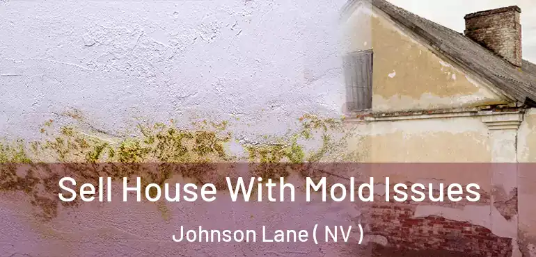 Sell House With Mold Issues Johnson Lane ( NV )