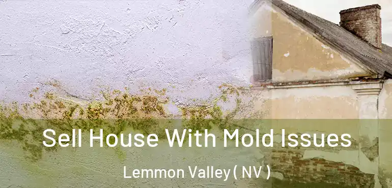 Sell House With Mold Issues Lemmon Valley ( NV )