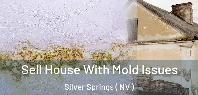 Sell House With Mold Issues Silver Springs ( NV )