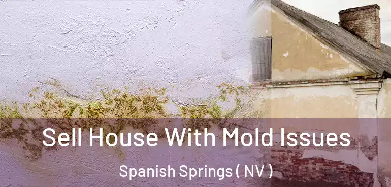 Sell House With Mold Issues Spanish Springs ( NV )