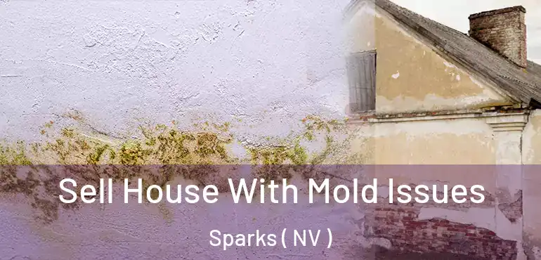 Sell House With Mold Issues Sparks ( NV )