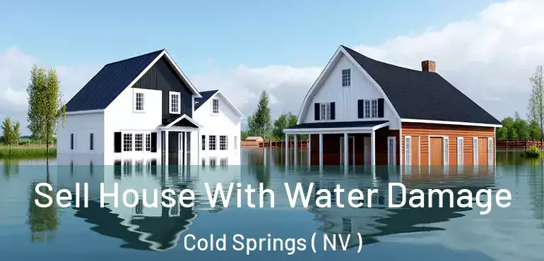 Sell House With Water Damage Cold Springs ( NV )