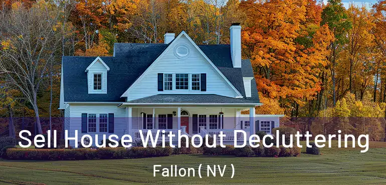 Sell House Without Decluttering Fallon ( NV )
