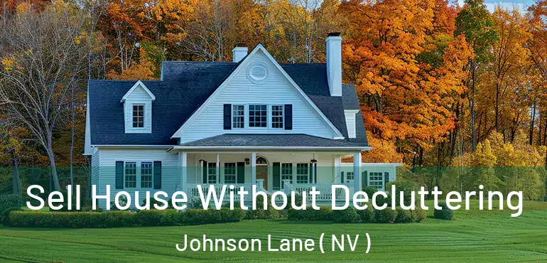 Sell House Without Decluttering Johnson Lane ( NV )