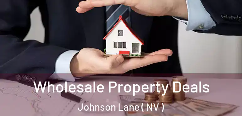 Wholesale Property Deals Johnson Lane ( NV )
